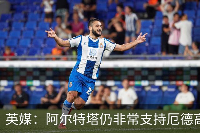 英媒：阿尔特塔仍非常支持厄德高，后者对道曼的成长也大有裨益